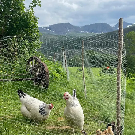 Feriegårder Staurset Gard